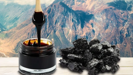 Shilajit