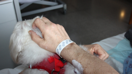 Persona enferma con su perro