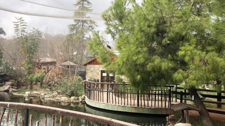 El zoo de Córdoba, en una imagen de archivo