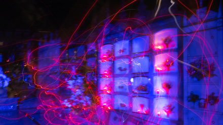 San Sadurniño celebra todavía estos días actos de Samaín