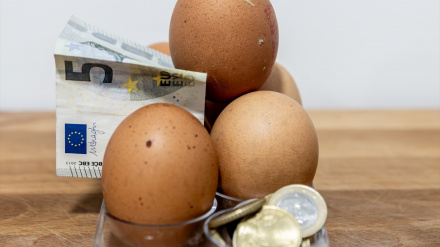 Sube el precio de los huevos