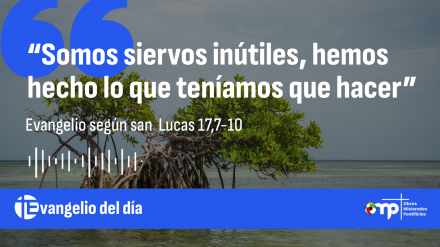 EVANGELIO DEL DÍA 11 NOV