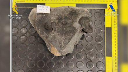 Parte de los bienes arqueológicos, catalogados como patrimonio histórico de México y Ecuador, recuperados en Bilbao