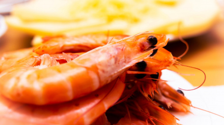 Alimentos que se pueden comprar en noviembre y congelar para Navidad