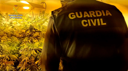 Desarticulada una organización criminaldedicada al tráfico de drogas en Burriana