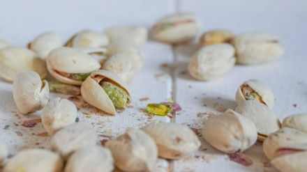 El  pistacho, fuente de riqueza para Madrid