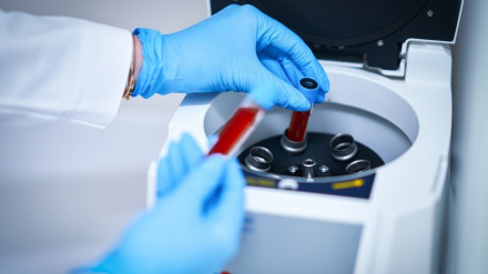 (Foto de ARCHIVO)Análisis genéticoREMITIDA / HANDOUT por CSICFotografía remitida a medios de comunicación exclusivamente para ilustrar la noticia a la que hace referencia la imagen, y citando la procedencia de la imagen en la firma27/10/2025