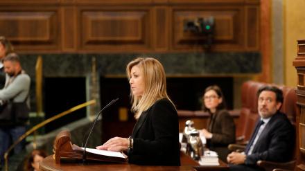 Ana Isabel Abengózar, en el Congreso de los Diputados