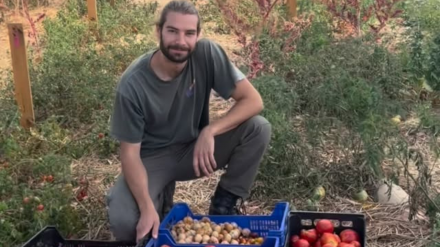 Emilio Medina, agricultor, con sus plantaciones