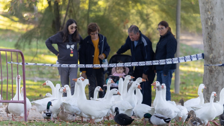 Zona de prevención contra la Gripe Aviar en el parque del Soto de Móstoles