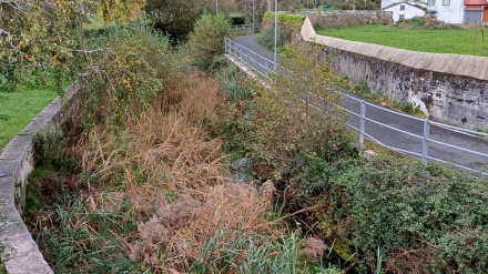 Estado del río Basteiro en la localidad de Neda