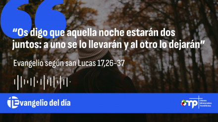 EVANGELIO 14 NOV 2025