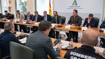 Reunión del comité asesor del Plan Infoca este jueves en Granada