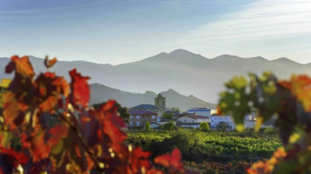 El turismo como motor y generador de riqueza en La Rioja