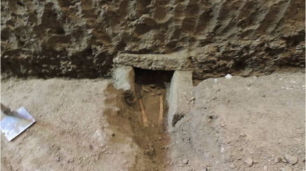 Caballero San Pedro el Viejo