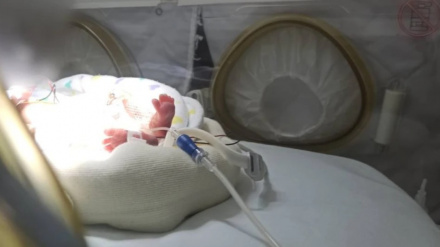 Sofía en la incubadora