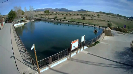 Estanque de la pedanía lorquina de Doña Inés del se serán retirados de forma preventiva los patos por la gripe aviar