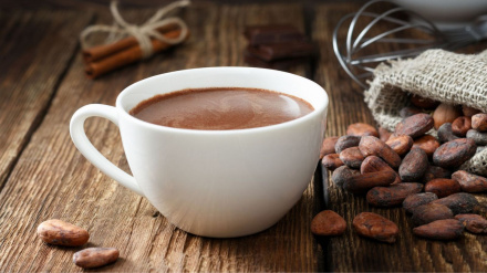 Carta de Ecologistas en acción