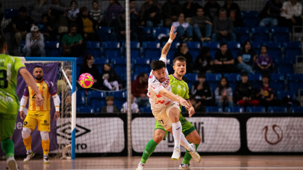 ElPozo Murcia FS sigue sumando