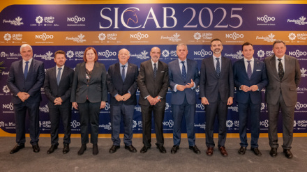 Presentación SICAB 2025