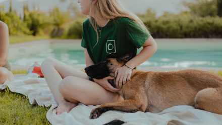 Imagen de Aire en un momento de descanso