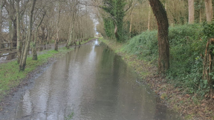 El paseo completamente anegado