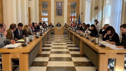 Nombre de la fotoPleno ordinario de noviembre del Ayuntamiento de Cáceres