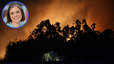 Incendio en el Monte Areo de Gijón; y arriba, a la izquierda, Cristina Santín