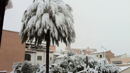 Nevada de febrero de 2012 en Mallorca