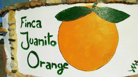 Juanito Orange