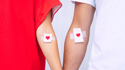 Blood donation. Blood donors with bandage after giving blood. High quality photo