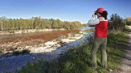 Reserva natural de los Sotos de Alfaro