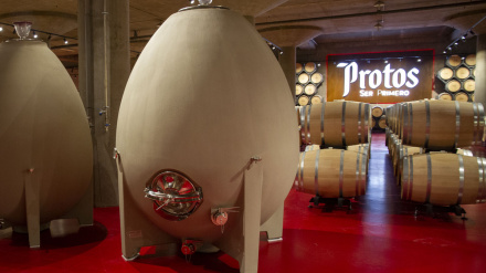 Bodega Protos
