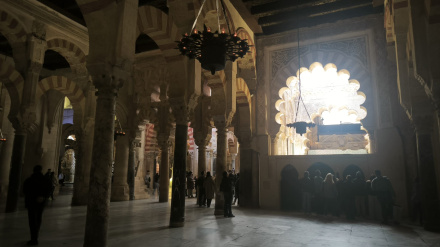 Tracking Mezquita Catedral