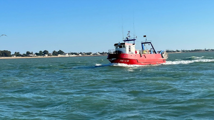 Barco de arrastre de Sanlúcar de Barrameda (Cádiz)