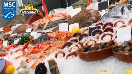 congelados barandica