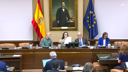 Comisión de Política Territorial. Debate y votación de proposiciones no de ley.