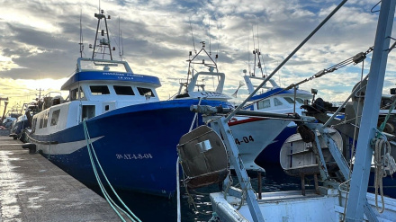 Barco pesquero de la Cofradía de Villajoyosa