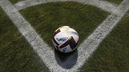 Los cuatro jugadores de categoría cadete militaban en el equipo del Alpicat.