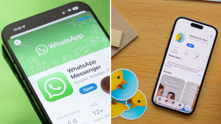 WhatsApp y BirdyChat