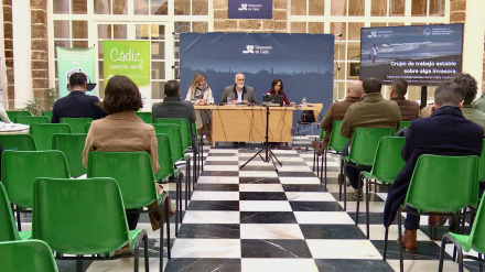 Reunión sobre el Alga Invasora