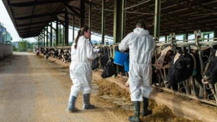Carlos Fernández Carriedo, consejero portavoz de la Junta de Castilla y León
