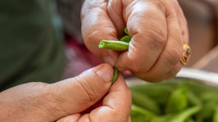 Imagen de recurso de una mujer cocinando verduras