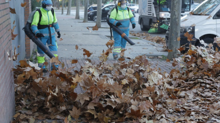 IMAGEN AYUNTAMIENTO DE MADRID