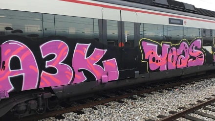 Detenidos  20 grafiteros por daños en el  metro, FGC y Renfe