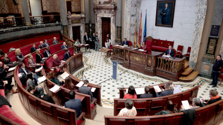 PLENO AYUNTAMIENTO VALENCIA
