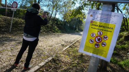 Aspecto de uno de los accesos al Parque Natural de Collserola, alertando de la presencia de la peste porcina hallada en jabalíes autóctonos de la zona. EFE/Enric Fontcuberta
