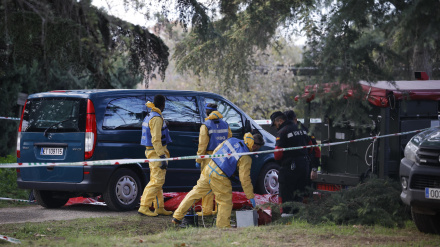 Vista de las labores de desinfección de la UME en relación al brote de peste porcina africana (PPA) en Barcelona