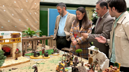 La delegada del Gobierno andaluz inaugura en Educación el tradicional Belén navideño, que un año más cuenta con la colaboración de la Asociación Belenista de Almería Amigos del Belén