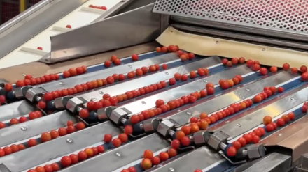 El sector del manipulado desconvoca la huelga tras pactar una subida salarial de hasta el 7,4%